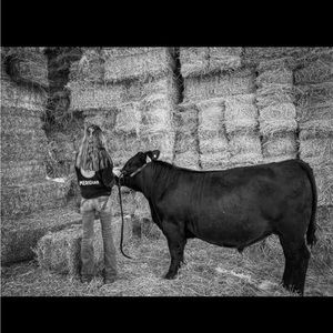 Meet your Posher, Taylor